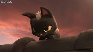 فلم كرتون ديزني جديد القطه السوداء  Rudolf the black cat