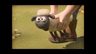 NEW Shaun the Sheep | BEST FUNNY PLAYLIST (PART 52 ) | فيلم كرتون الخروف الشهير شون ذا شيب